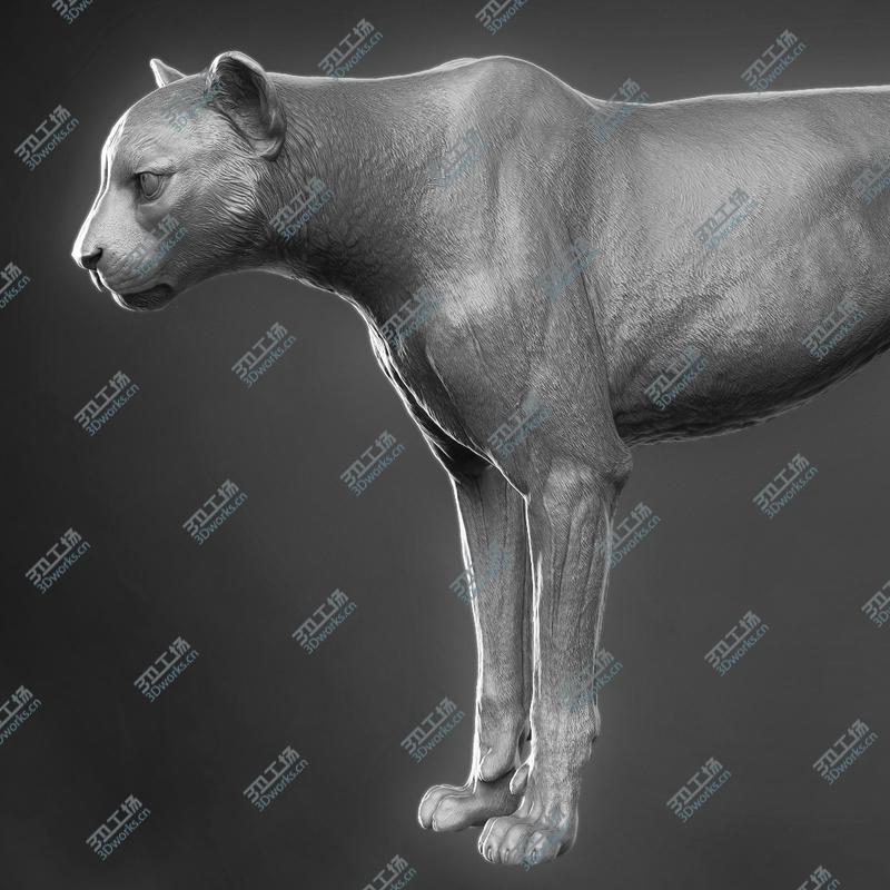 images/goods_img/2021040162/3D Cheetah/1.jpg